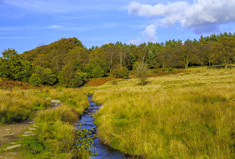 Burbage Brook Burbage Brook